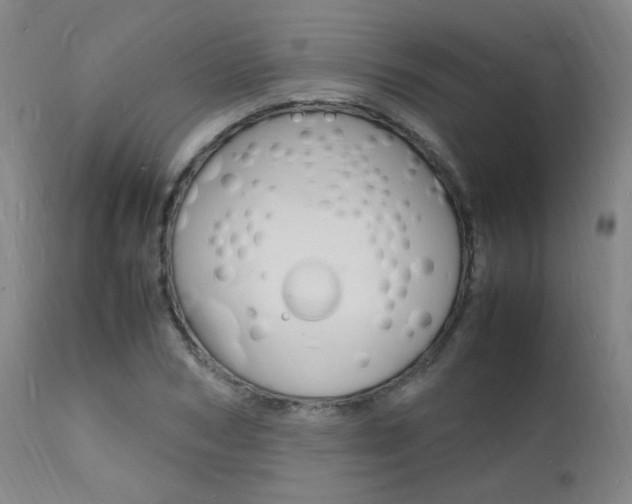 X0000112150978200908070959