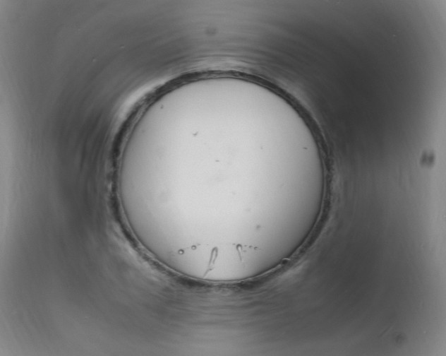 X0000112150979200908070959