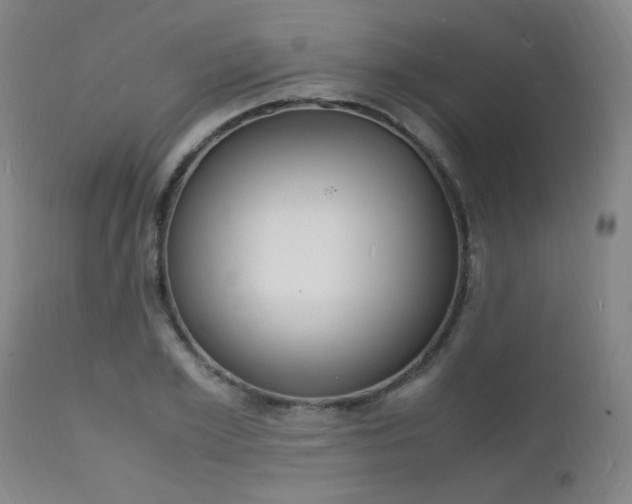 X0000112150981200908070958