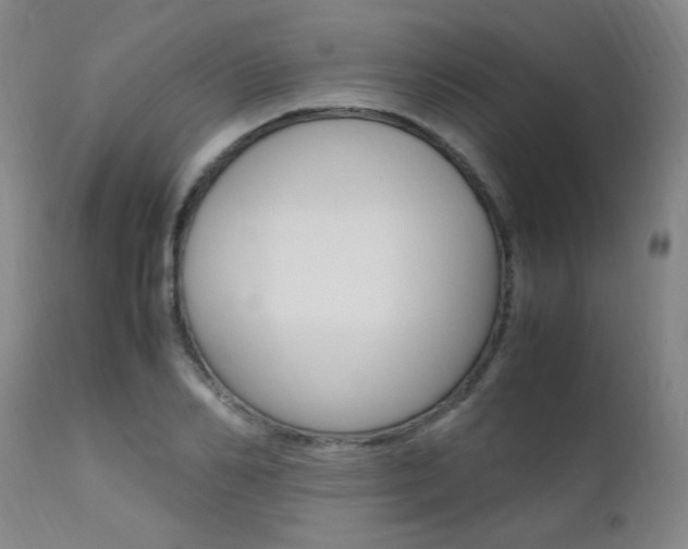X0000112150982200908070958