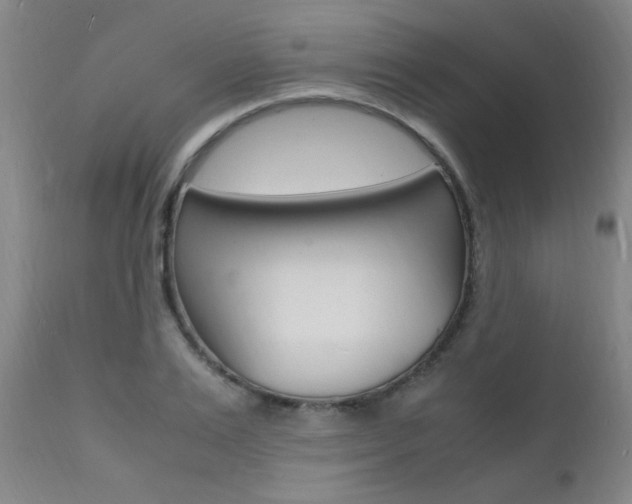 X0000112150983200908070958
