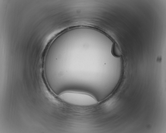 X0000112150987200908070958