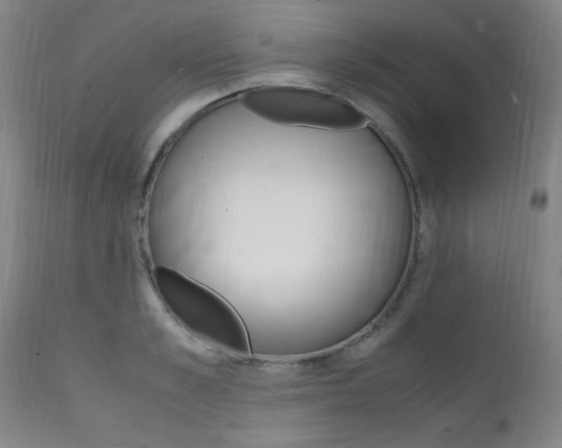 X0000112150989200908070958