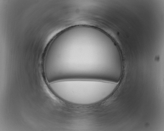 X0000112150991200908070958