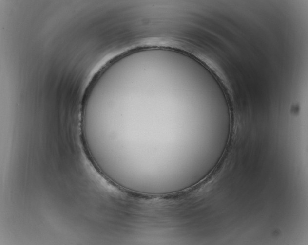 X0000112150992200908070958