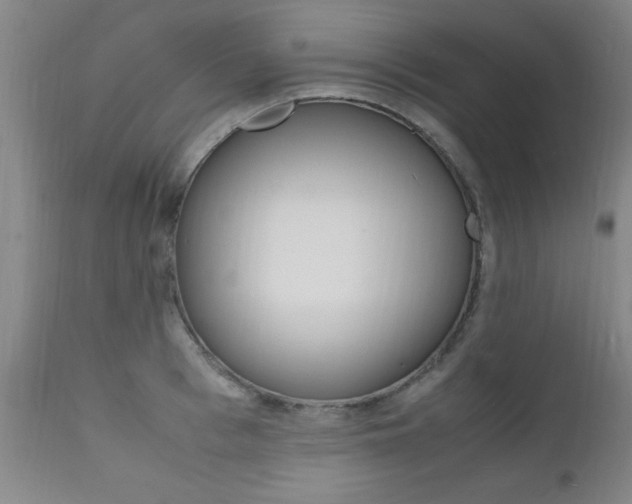 X0000112150993200908070958