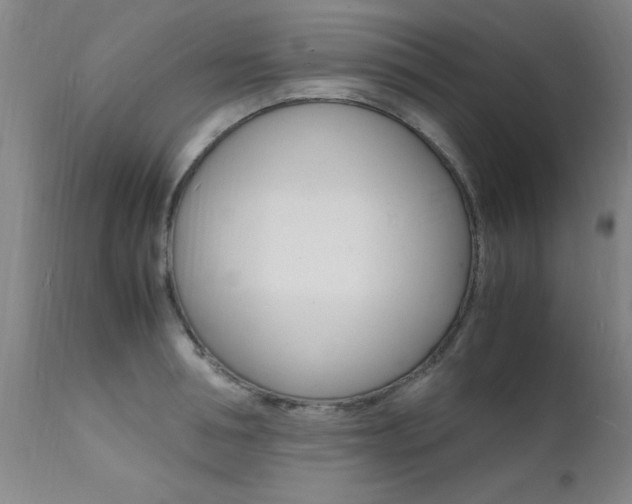 X0000112150994200908070958
