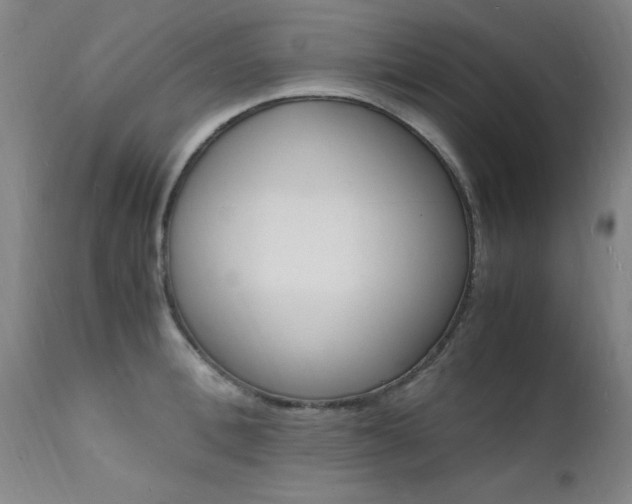 X0000112150996200908070958