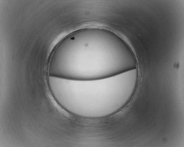 X0000112150997200908070958
