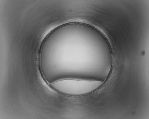 X0000112150999200908070958