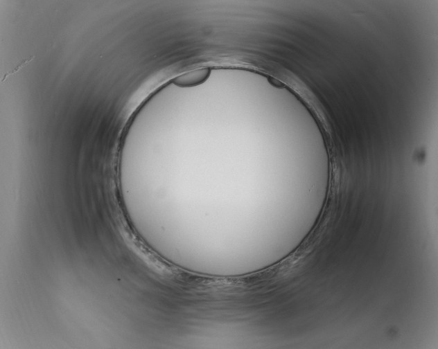 X0000112151002200908070958