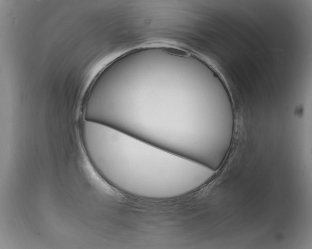 X0000112151003200908070958