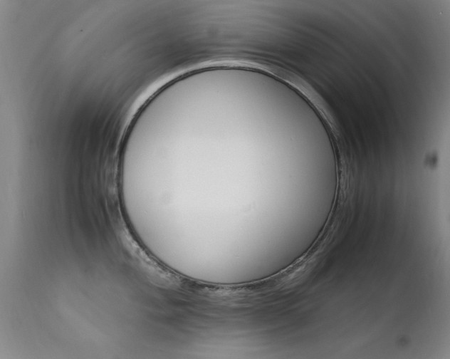 X0000112151004200908070958