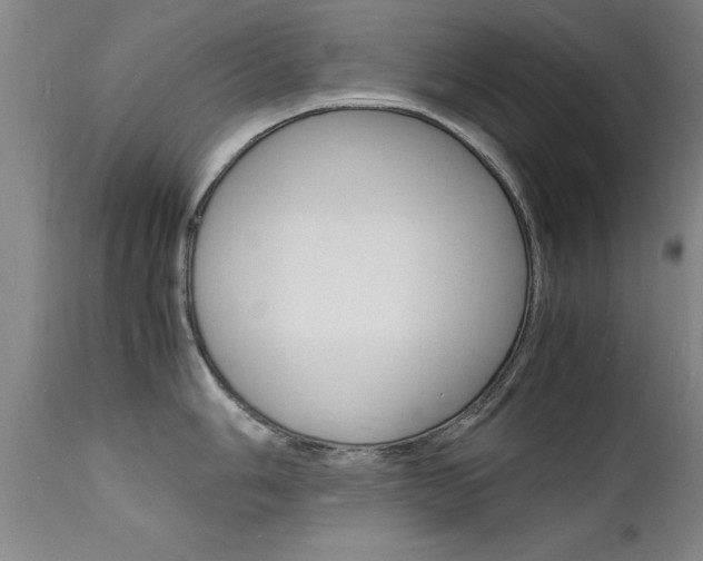 X0000112151006200908070958