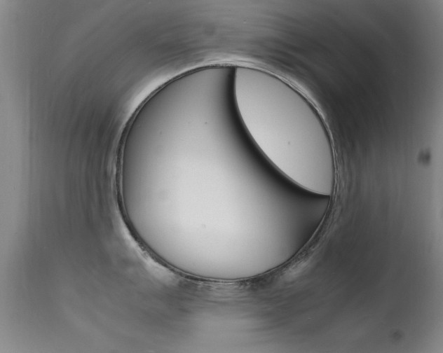 X0000112151007200908070958