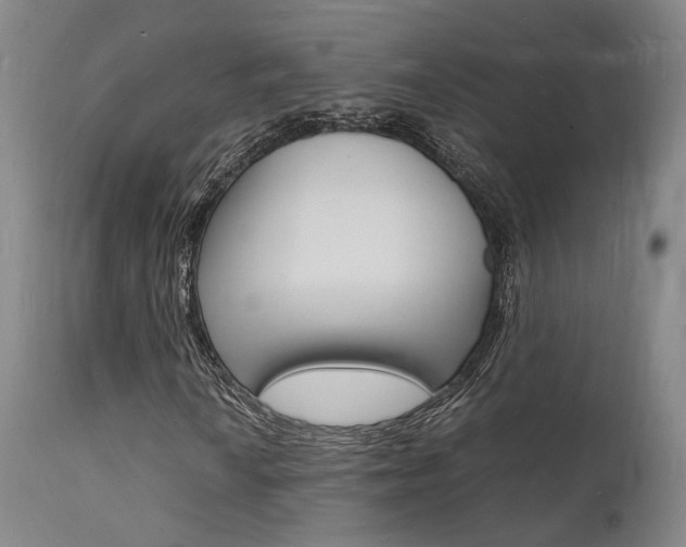 X0000112151010200908070957