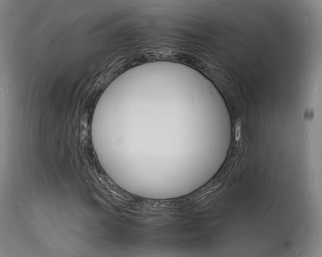 X0000112151011200908070957