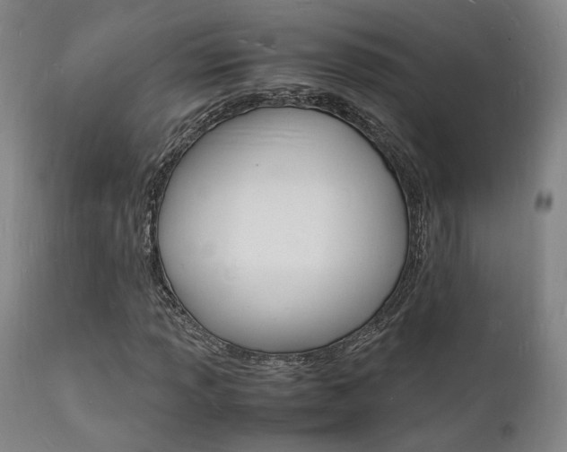 X0000112151013200908070957