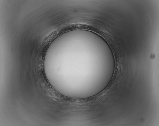 X0000112151014200908070957