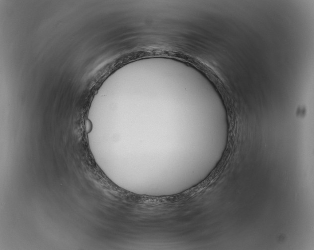 X0000112151015200908070957