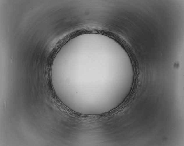 X0000112151016200908070957