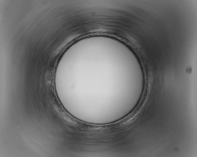 X0000112151017200908070957
