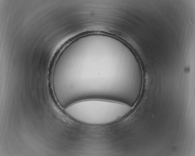 X0000112151020200908070957