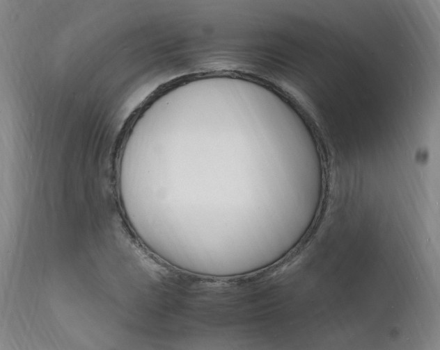 X0000112151023200908070957