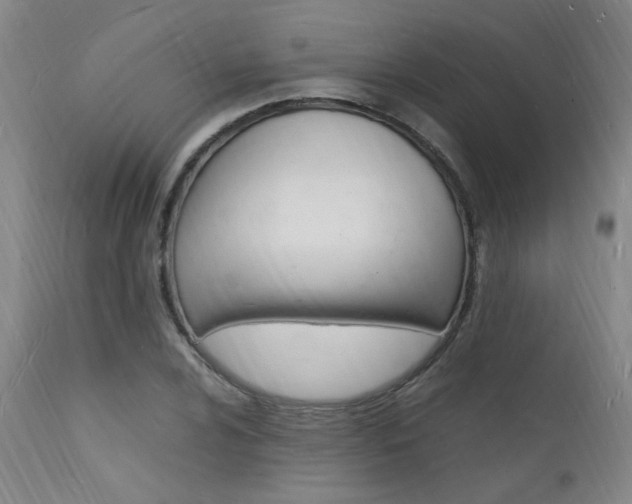 X0000112151024200908070957