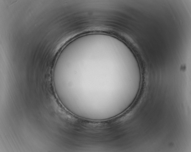 X0000112151025200908070957