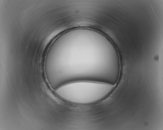 X0000112151026200908070958