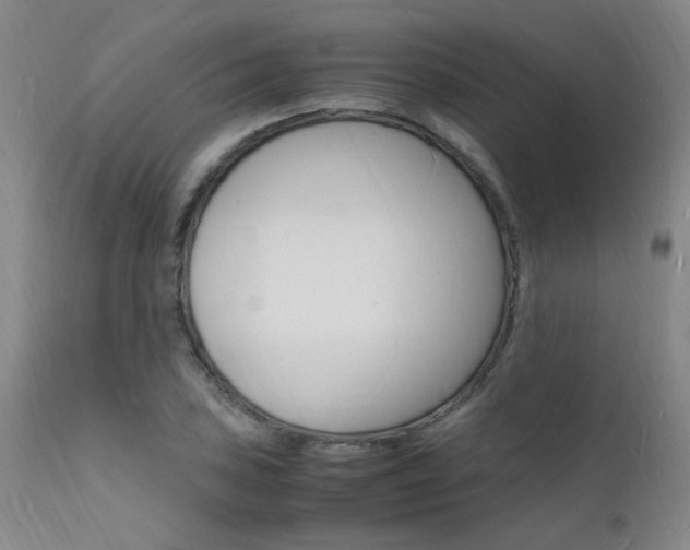X0000112151027200908070958