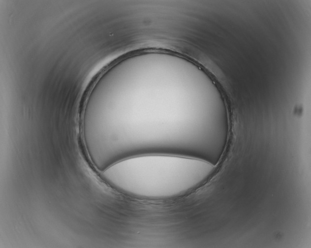 X0000112151028200908070958