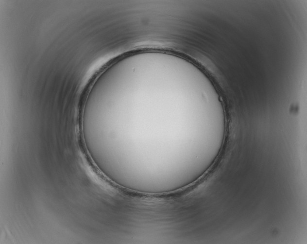 X0000112151030200908070958