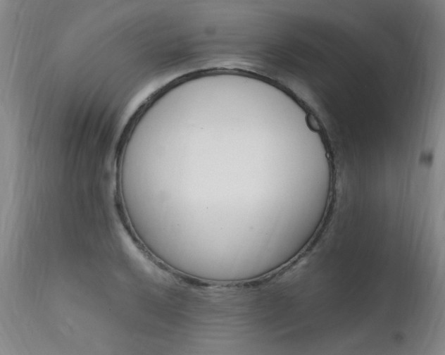 X0000112151032200908070958
