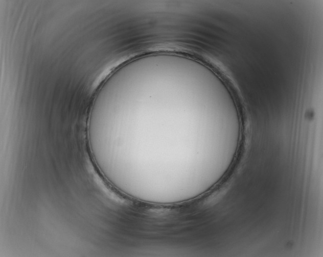 X0000112151033200908070958