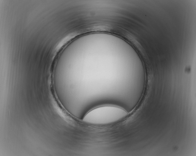X0000112151034200908070958