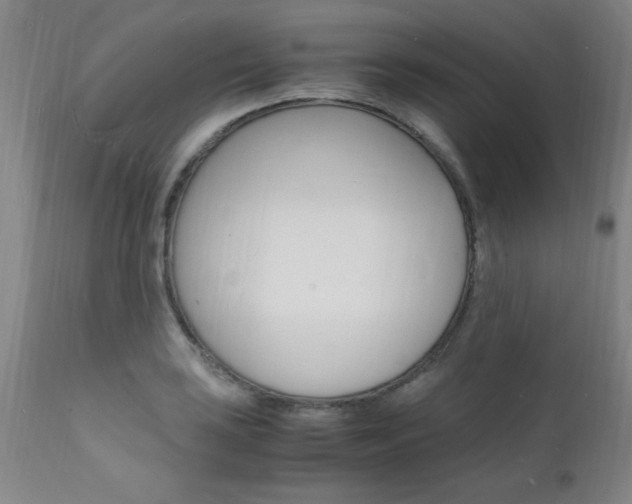 X0000112151035200908070958