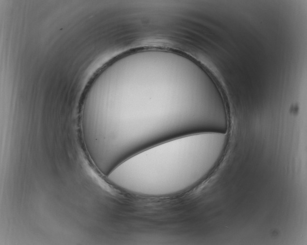 X0000112151037200908070958