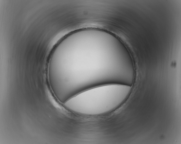 X0000112151038200908070958
