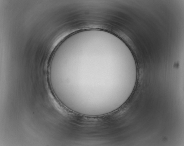 X0000112151039200908070958