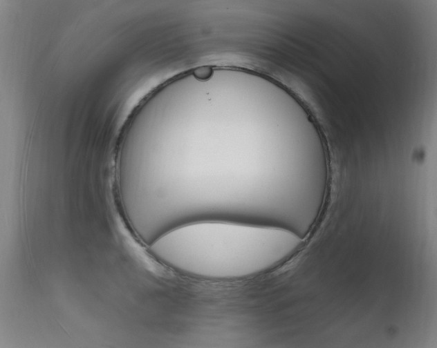 X0000112151040200908070958