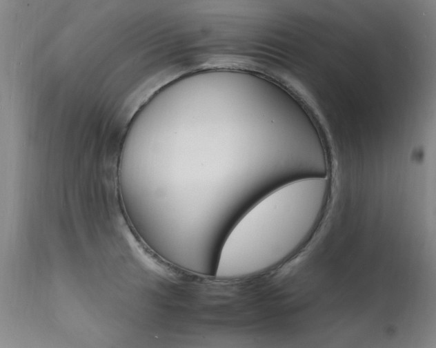 X0000112151041200908070958