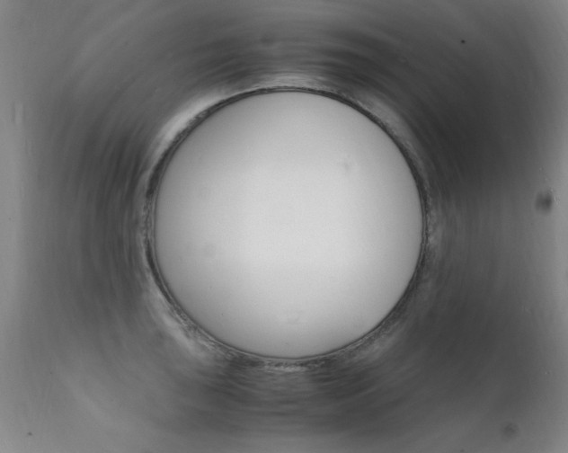 X0000112151043200908070958