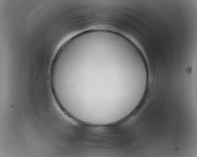 X0000112151045200908070958
