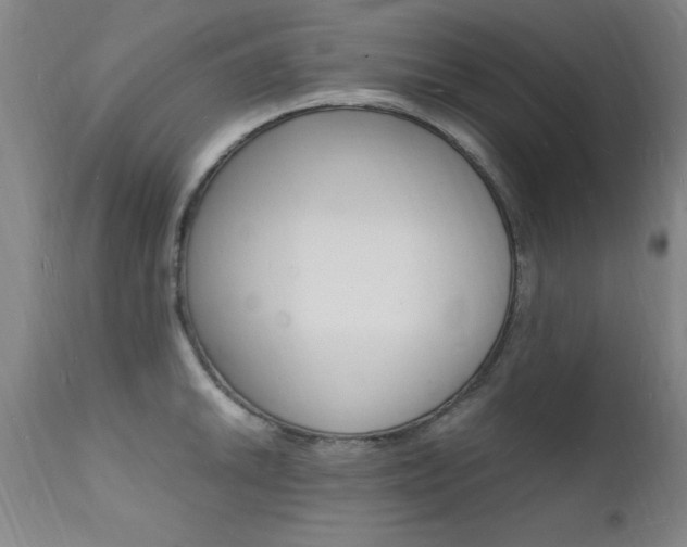 X0000112151046200908070958