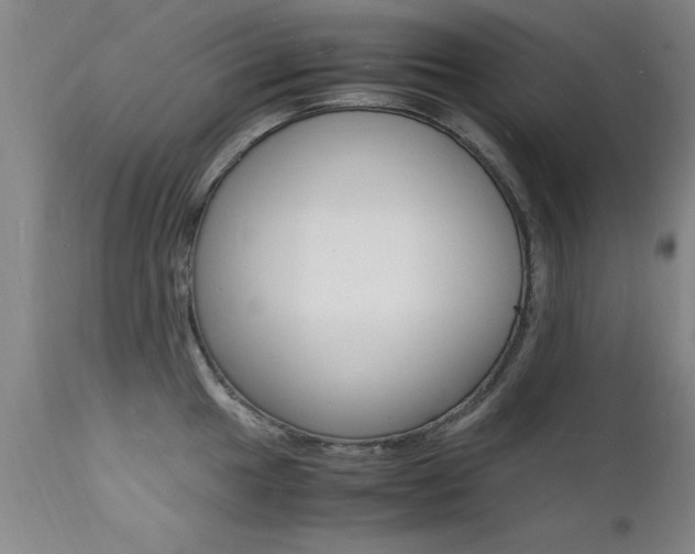 X0000112151049200908070958