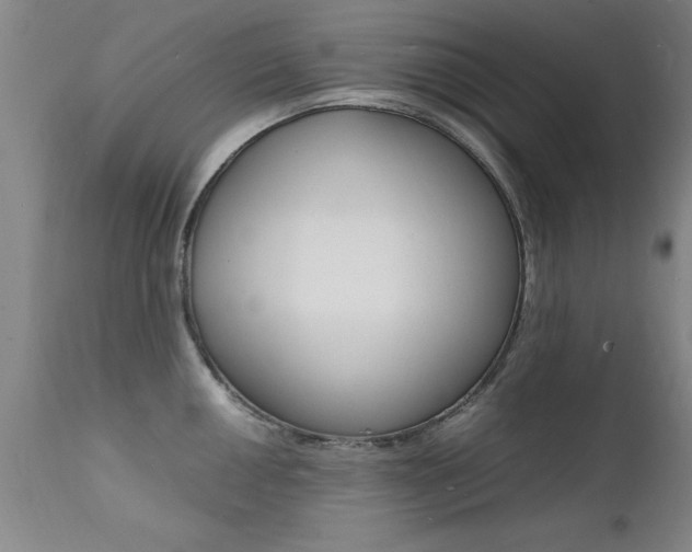 X0000112151050200908070958