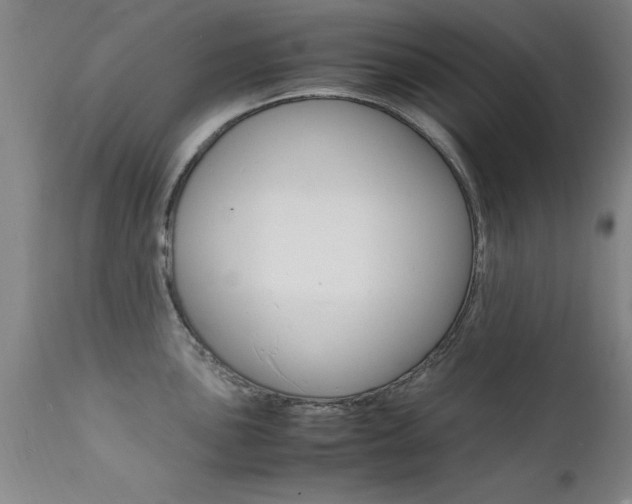 X0000112151051200908070958