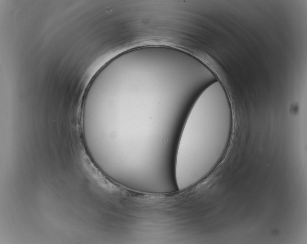 X0000112151052200908070958